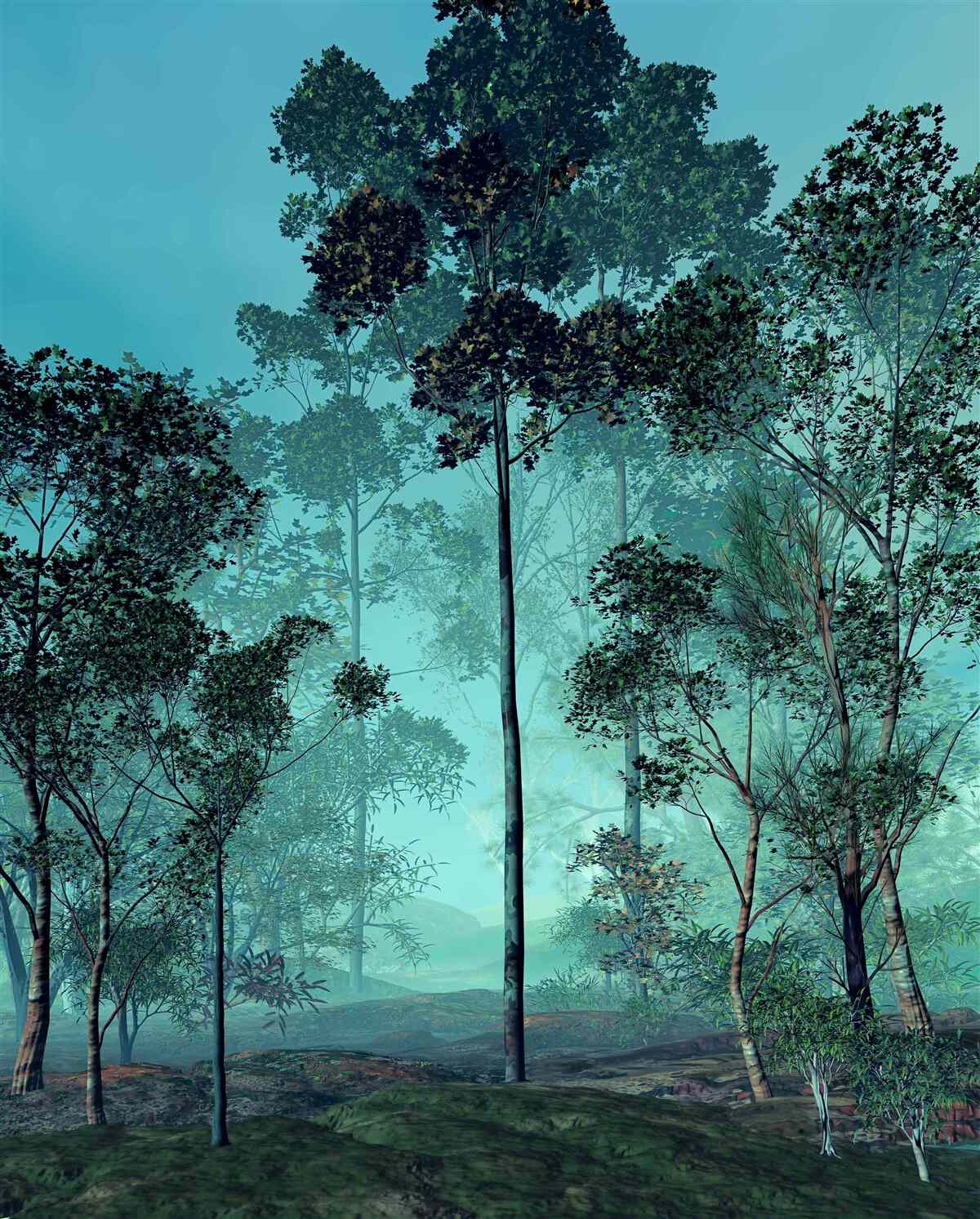 Fototapet pădure încântătoare învăluită în ceață groasă