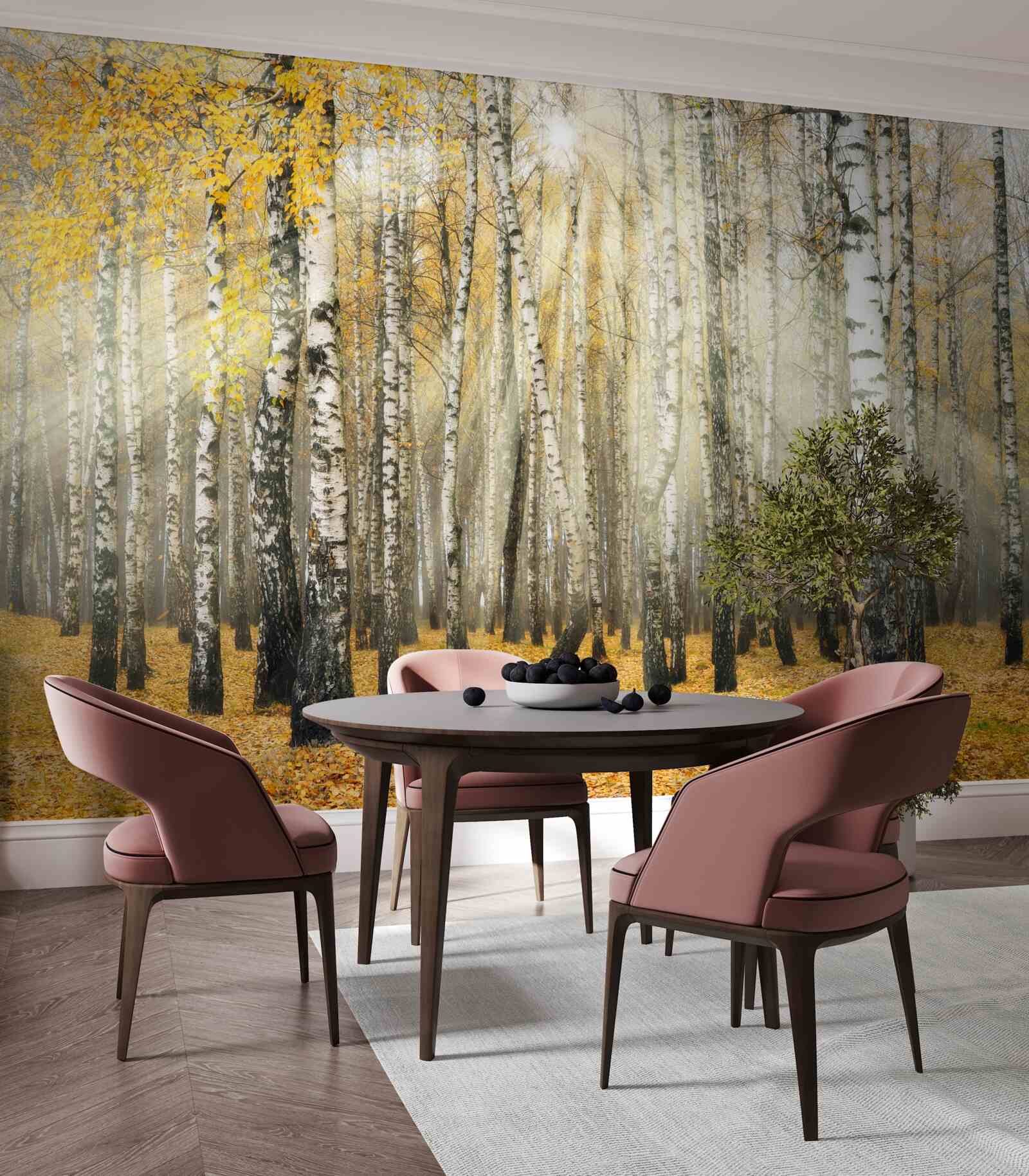 Fototapet Frunze de mesteacăn căzute într-o pădure de toamnă