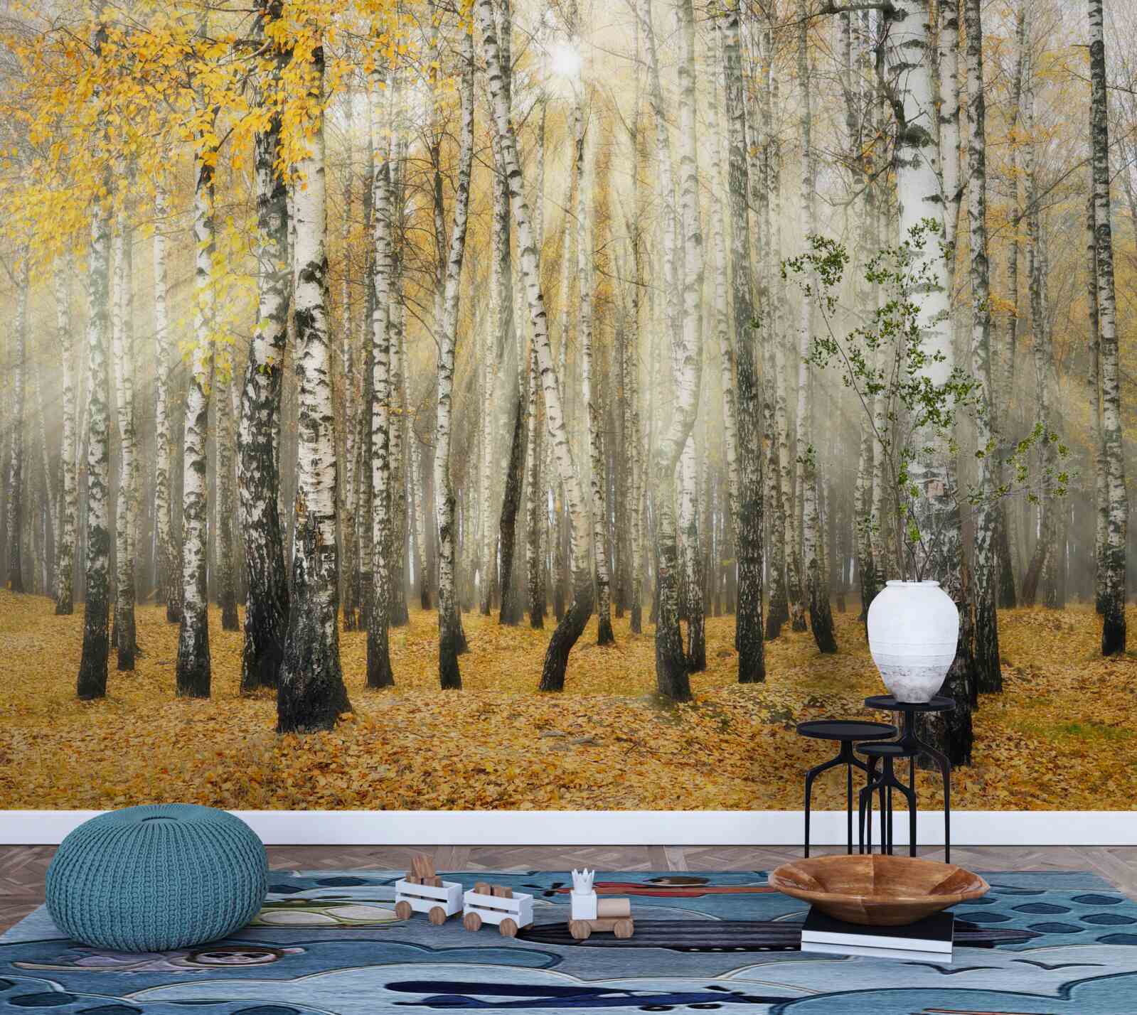 Fototapet Frunze de mesteacăn căzute într-o pădure de toamnă