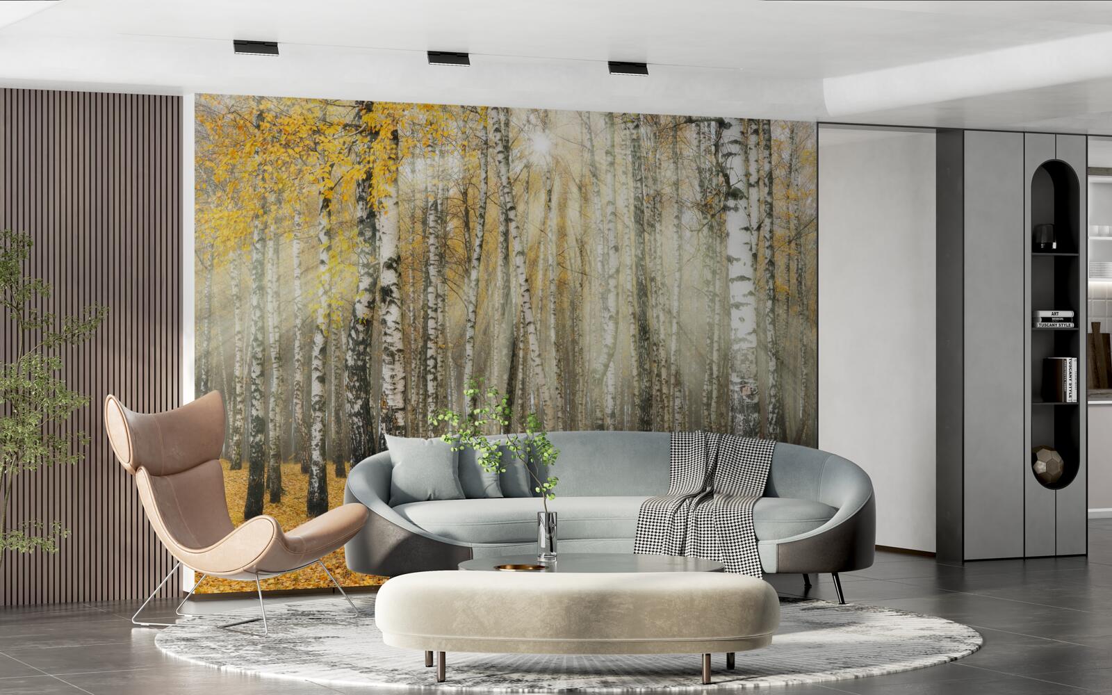 Fototapet Frunze de mesteacăn căzute într-o pădure de toamnă