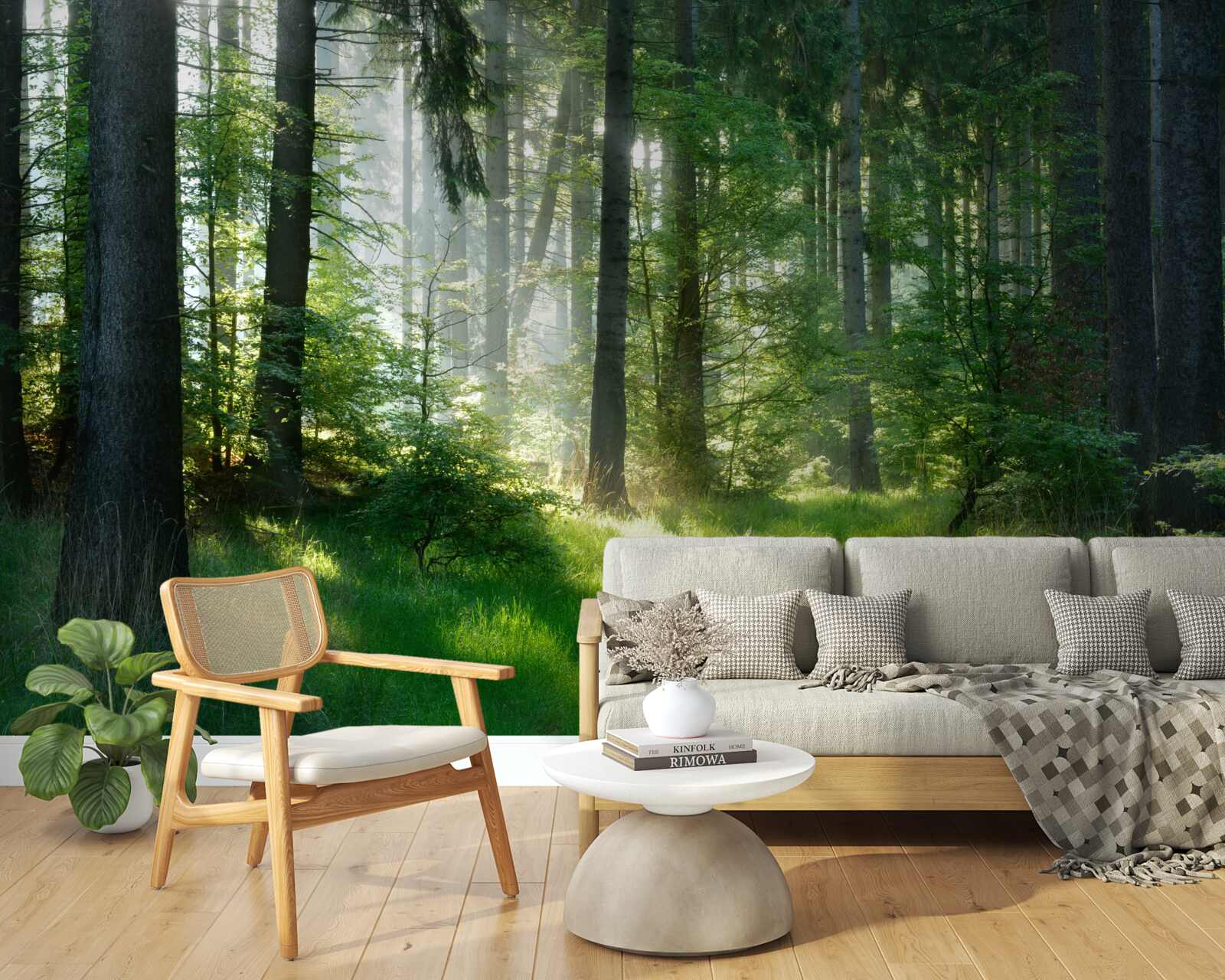 Fototapet o dimineață în pădure, înconjurată de verdeață