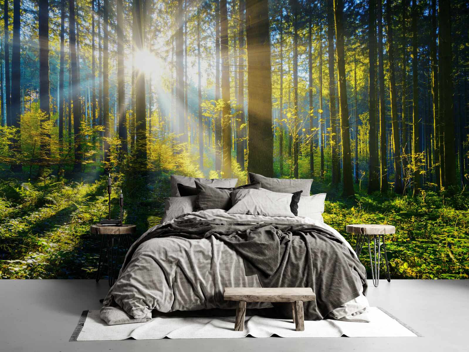 Fototapet lumina strălucitoare încălzește un tufiș întunecat