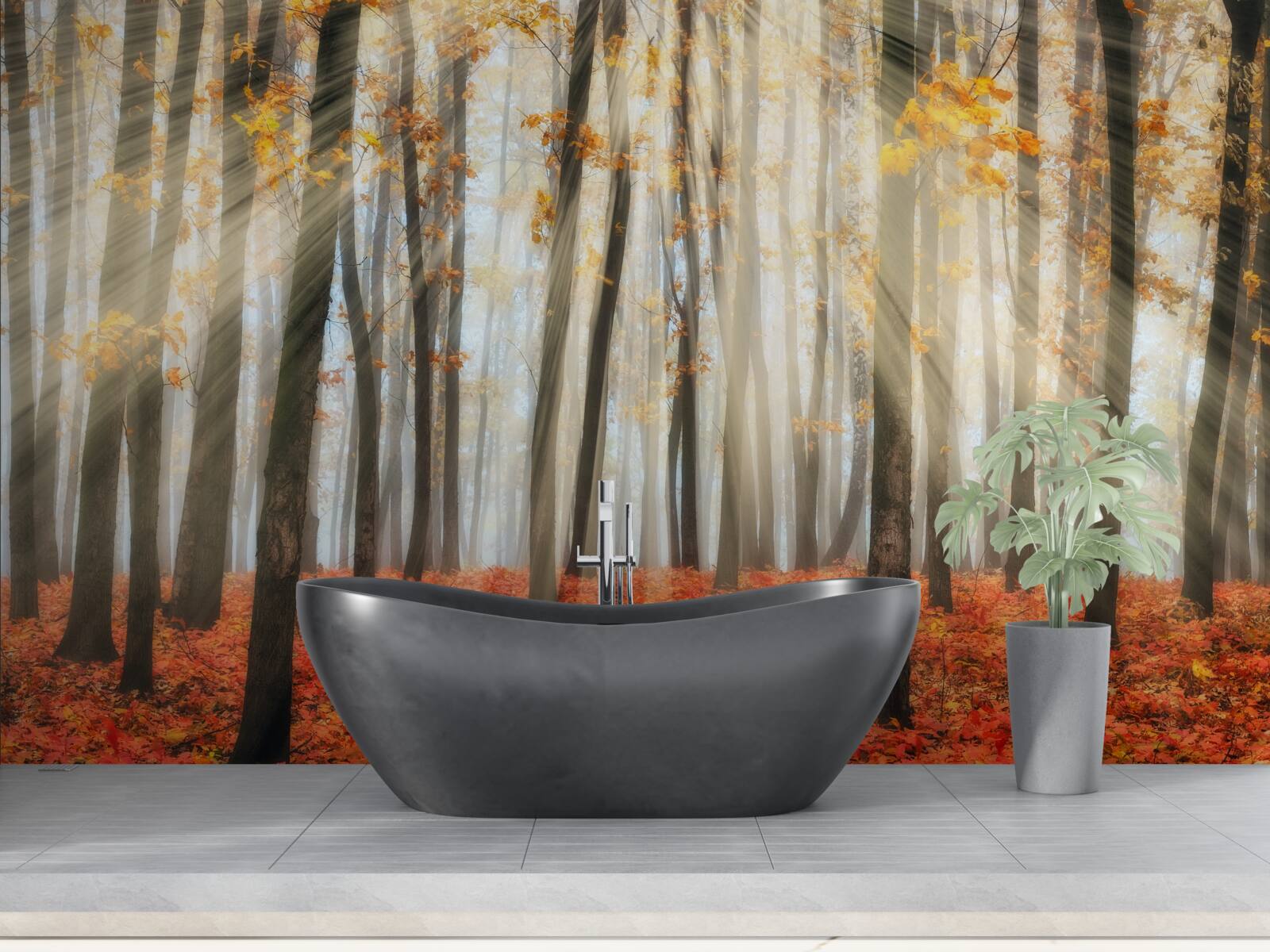 Fototapet soare și copaci grațioși de toamnă care și-au pierdut frunzele