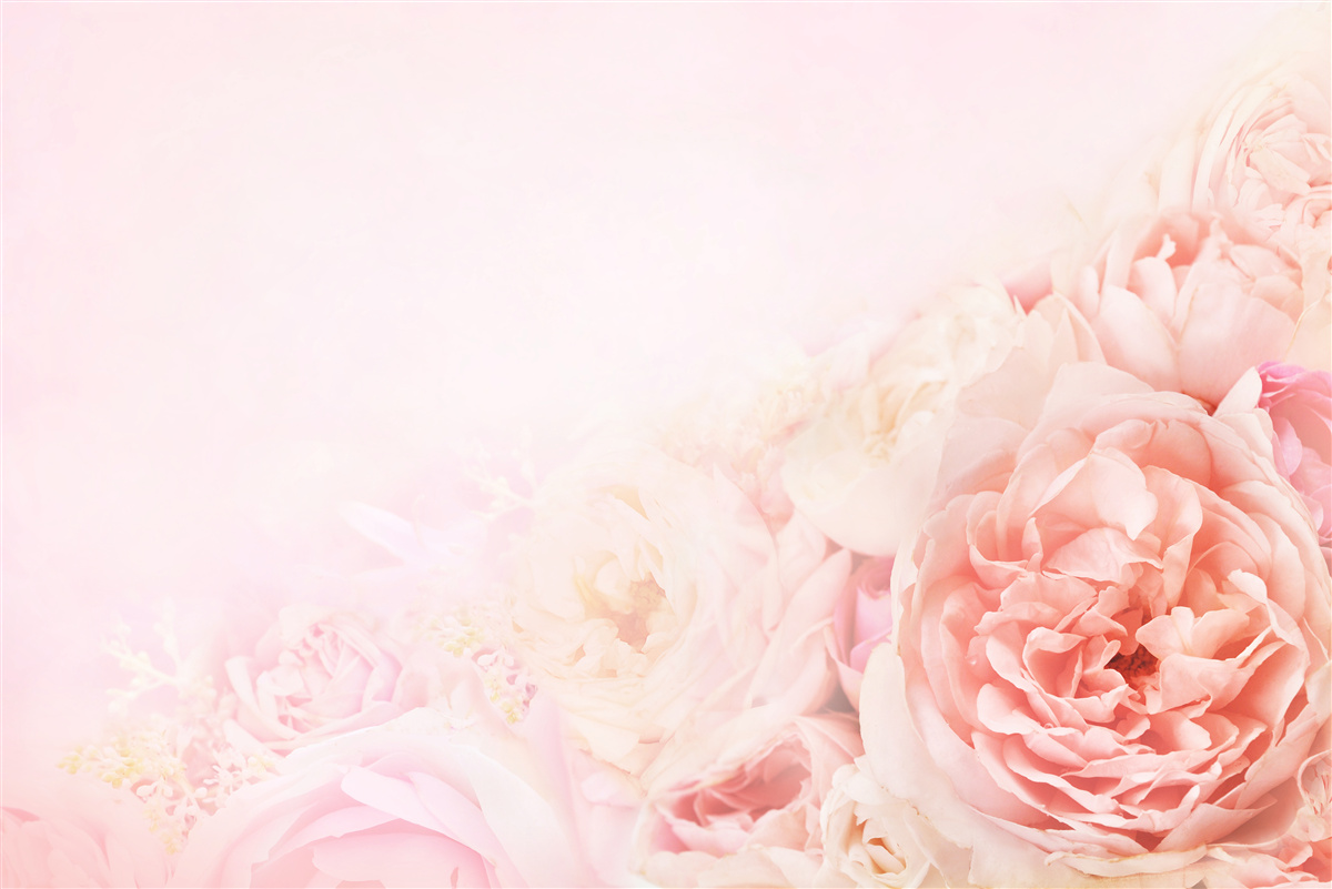 Fototapet flori roz subțiri