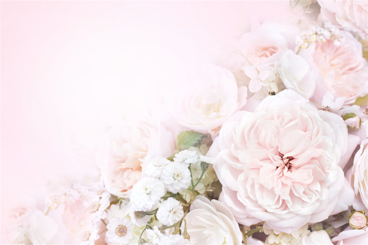 Fototapet fundal luminos decorat cu flori delicate