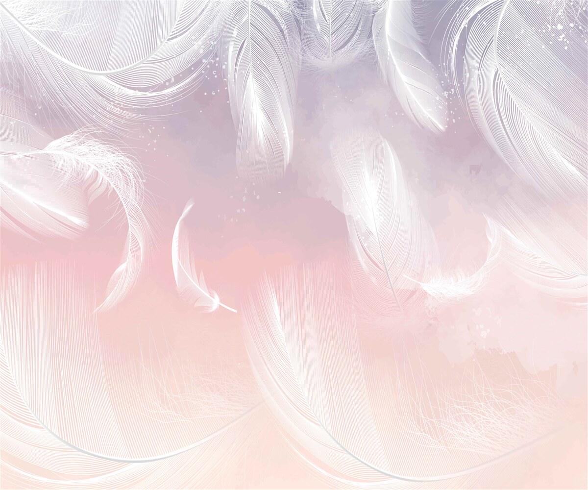 Fototapet pene albe plutind în apusul de seară