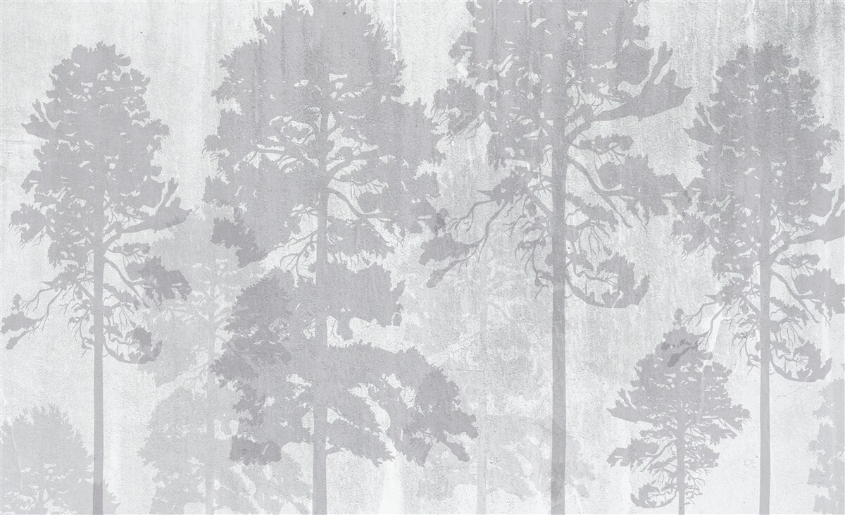 Fototapet Contururile cețoase ale copacilor din pădure de la margine par subțiri