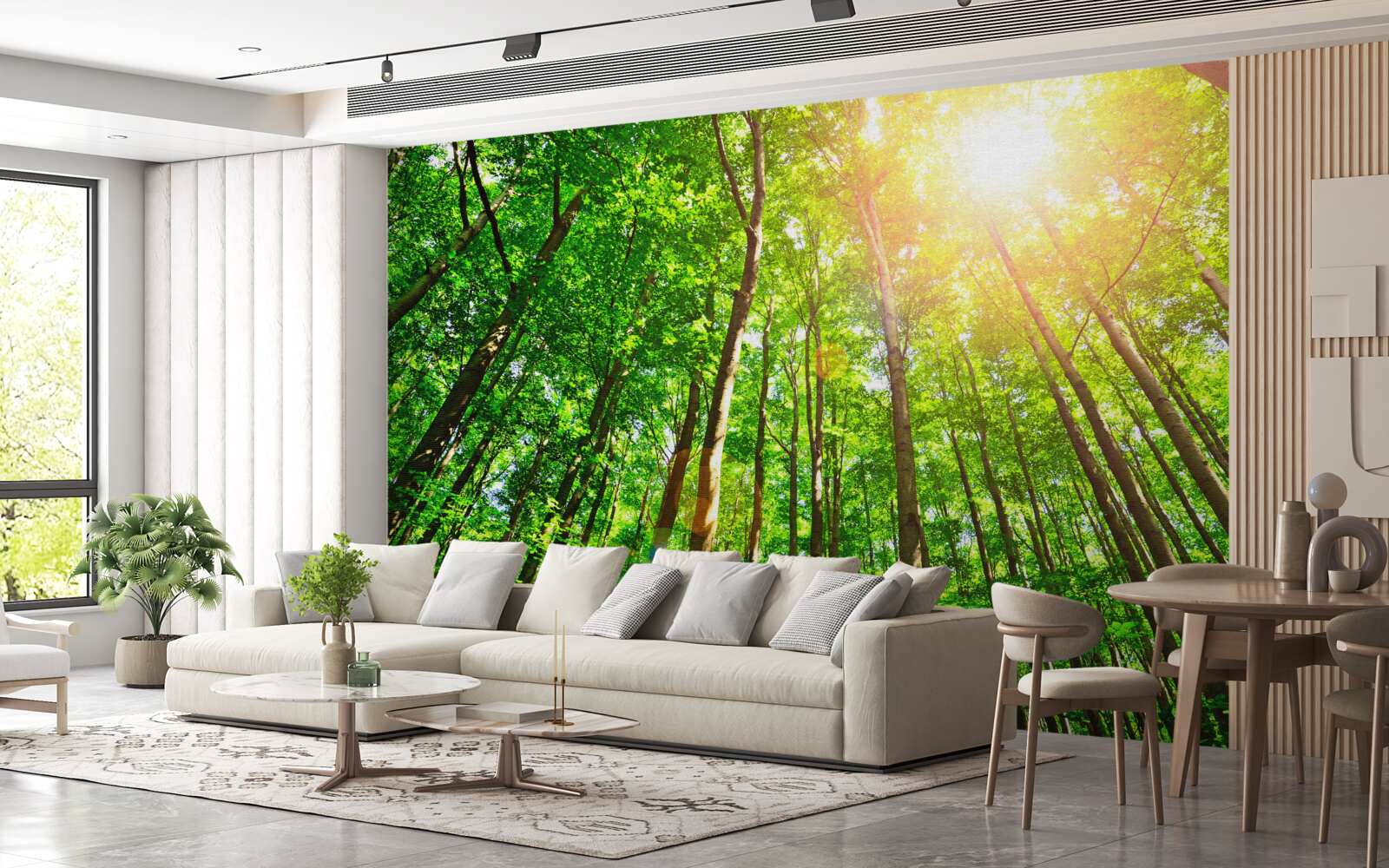 Fototapet lumina bogată a soarelui pătrunde prin marginile dense ale pădurii