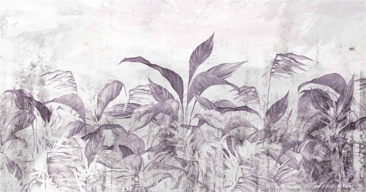 Fototapet flora și vegetația tropicală în timpul ploilor abundente