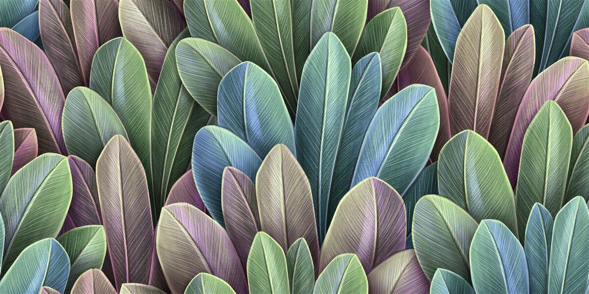 Fototapet subtilitățile spectrului de culori al frunzelor de toamnă din pădure