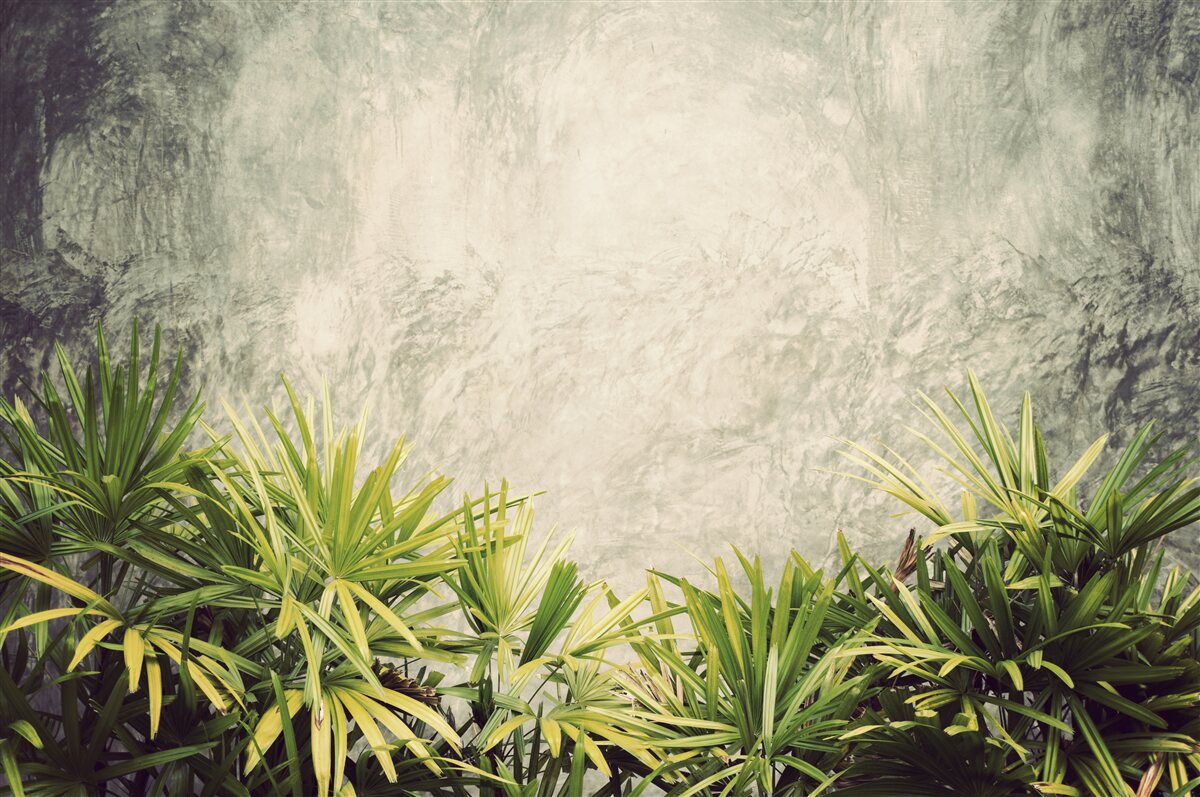 Fototapet o pătură cețoasă învăluie plantele verzi din junglă