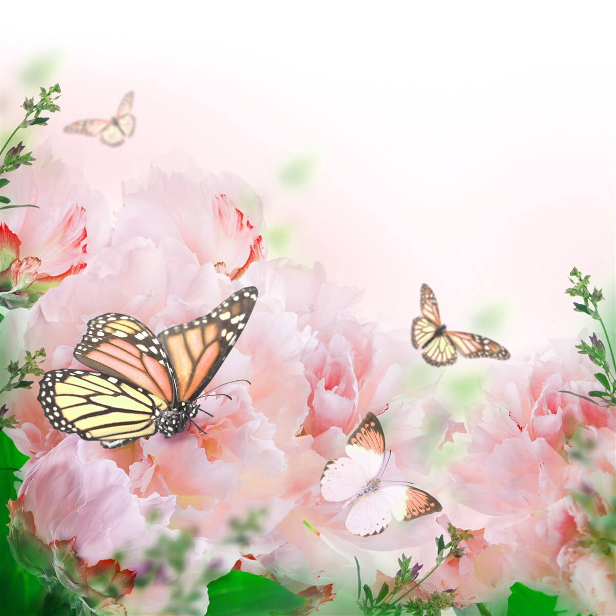 Fototapet grup de fluturi pe un fundal de flori de vară