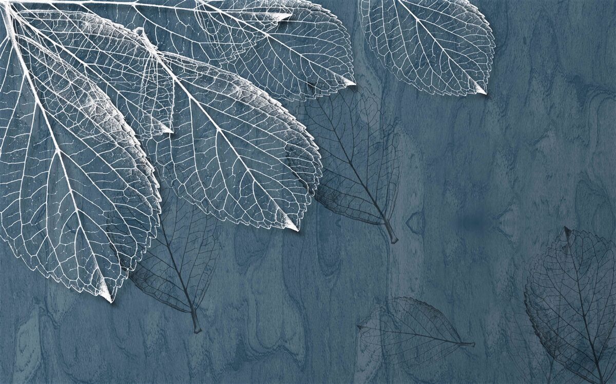 Fototapet frunzele sunt la fel de transparente ca aripile unui fluture