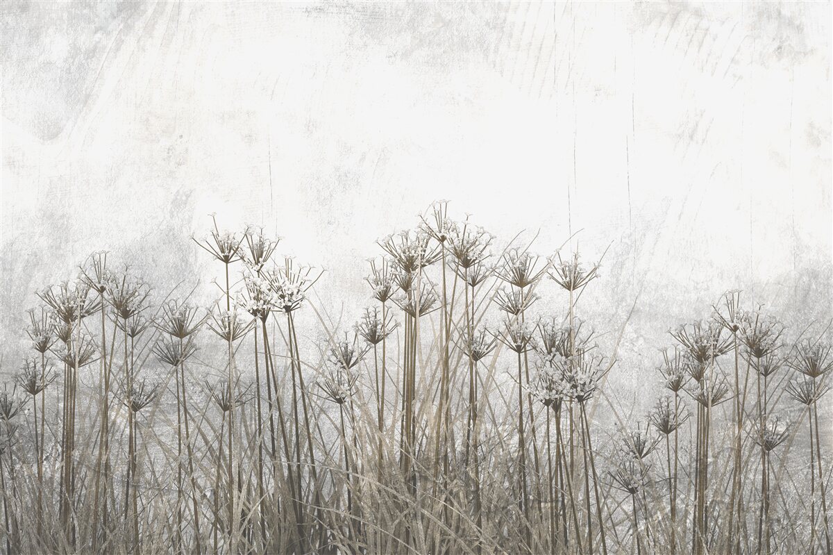 Fototapet icre goale delicate