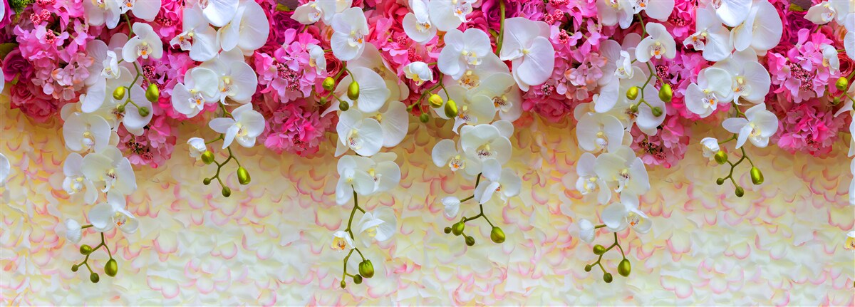 Fototapet orhidee ale căror flori sunt căzute