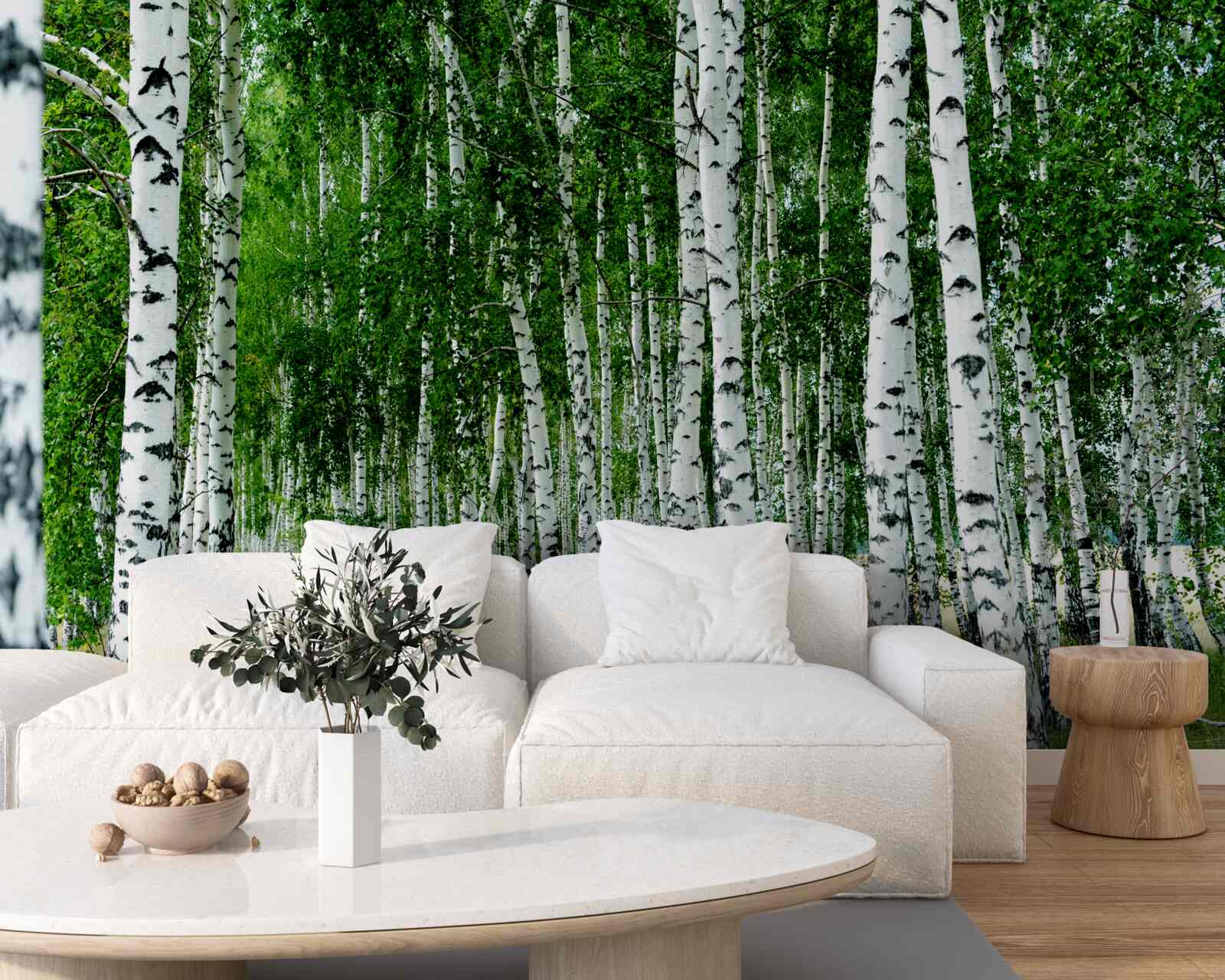 Fototapet mesteceni verzi cu trunchiuri grațioase pe un câmp deschis