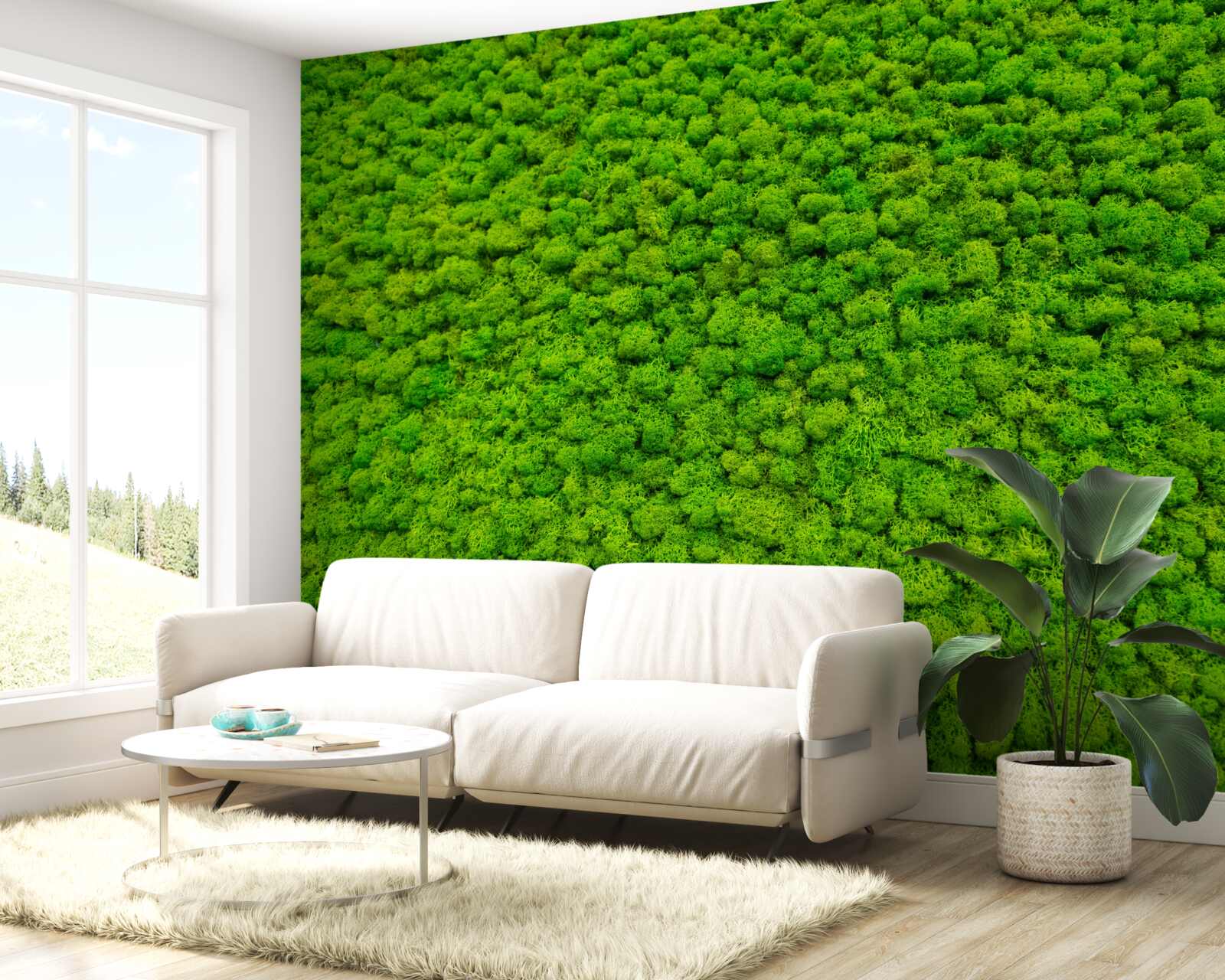 Fototapet vedere a unei frunze verzi de la un punct înalt