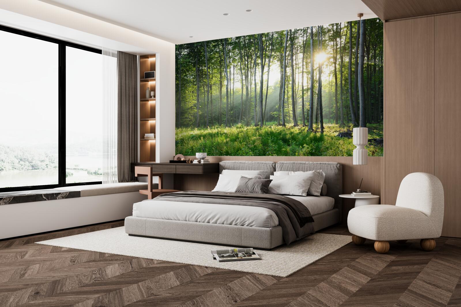 Fototapet un loc în natură cu vedere la soarele de dimineață în pădure