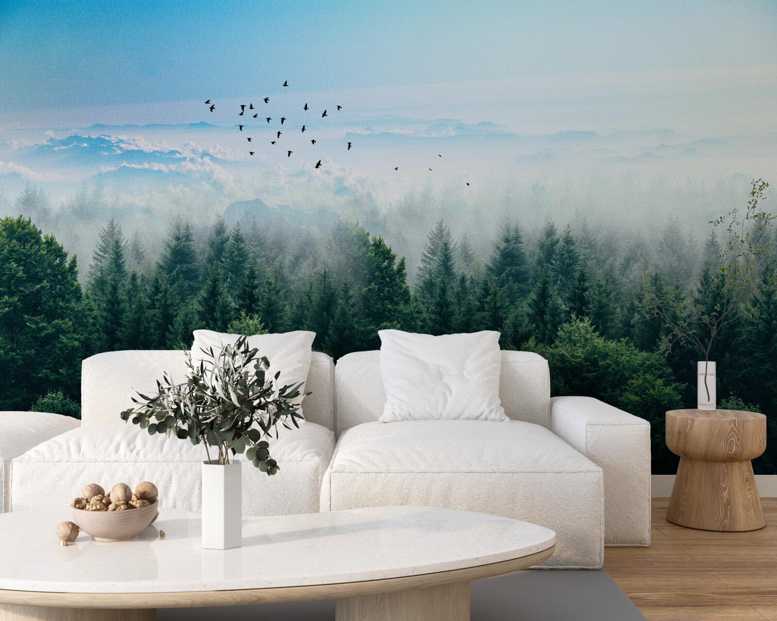 Fototapet păsările planează deasupra coroanelor giganților pădurii