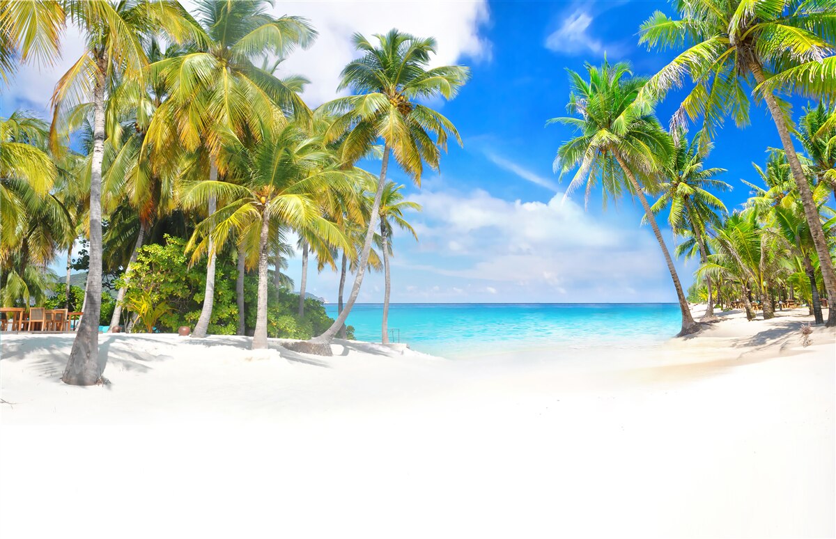 Fototapet țărmul oceanului cu o suprafață nisipoasă