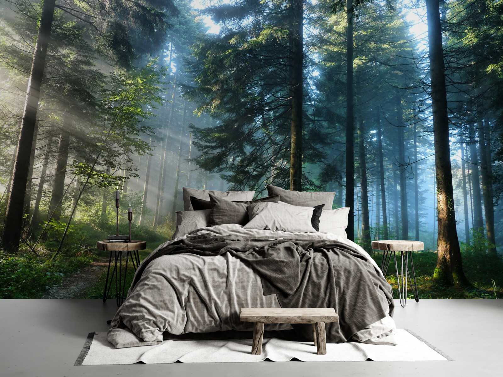 Fototapet O cărare printr-o pădure cețoasă