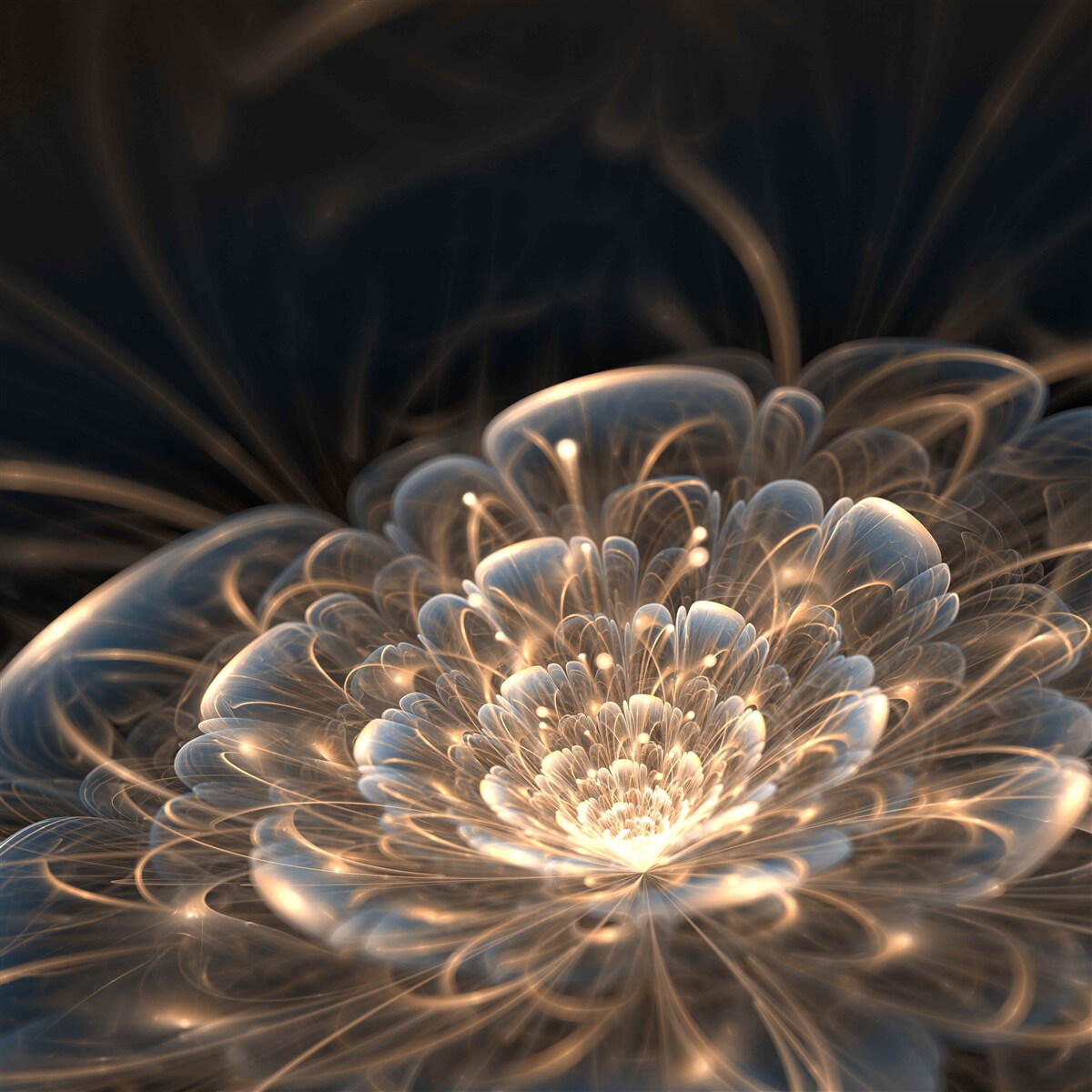 Fototapet floare mare de lumină