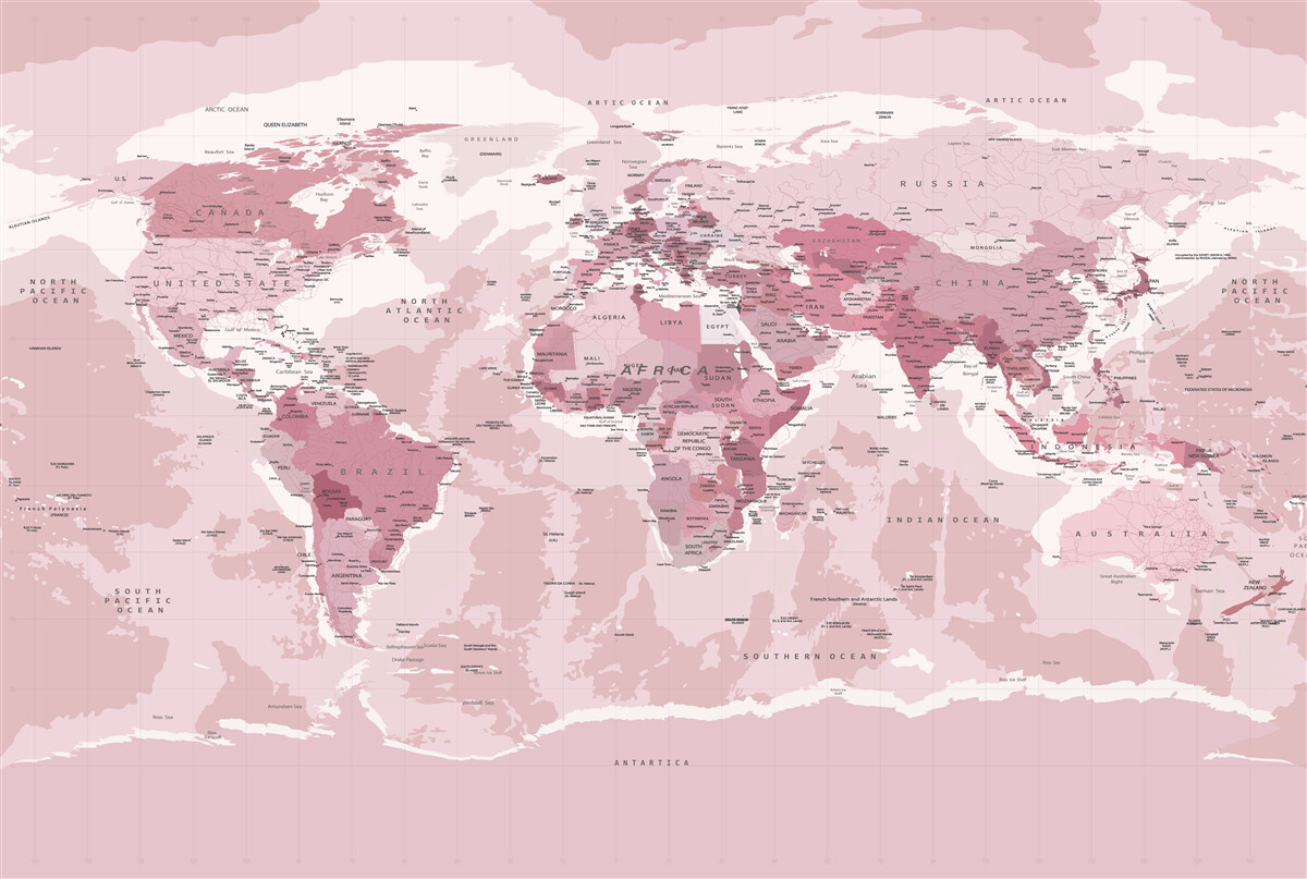 Fototapet hartă geografică standard în roz