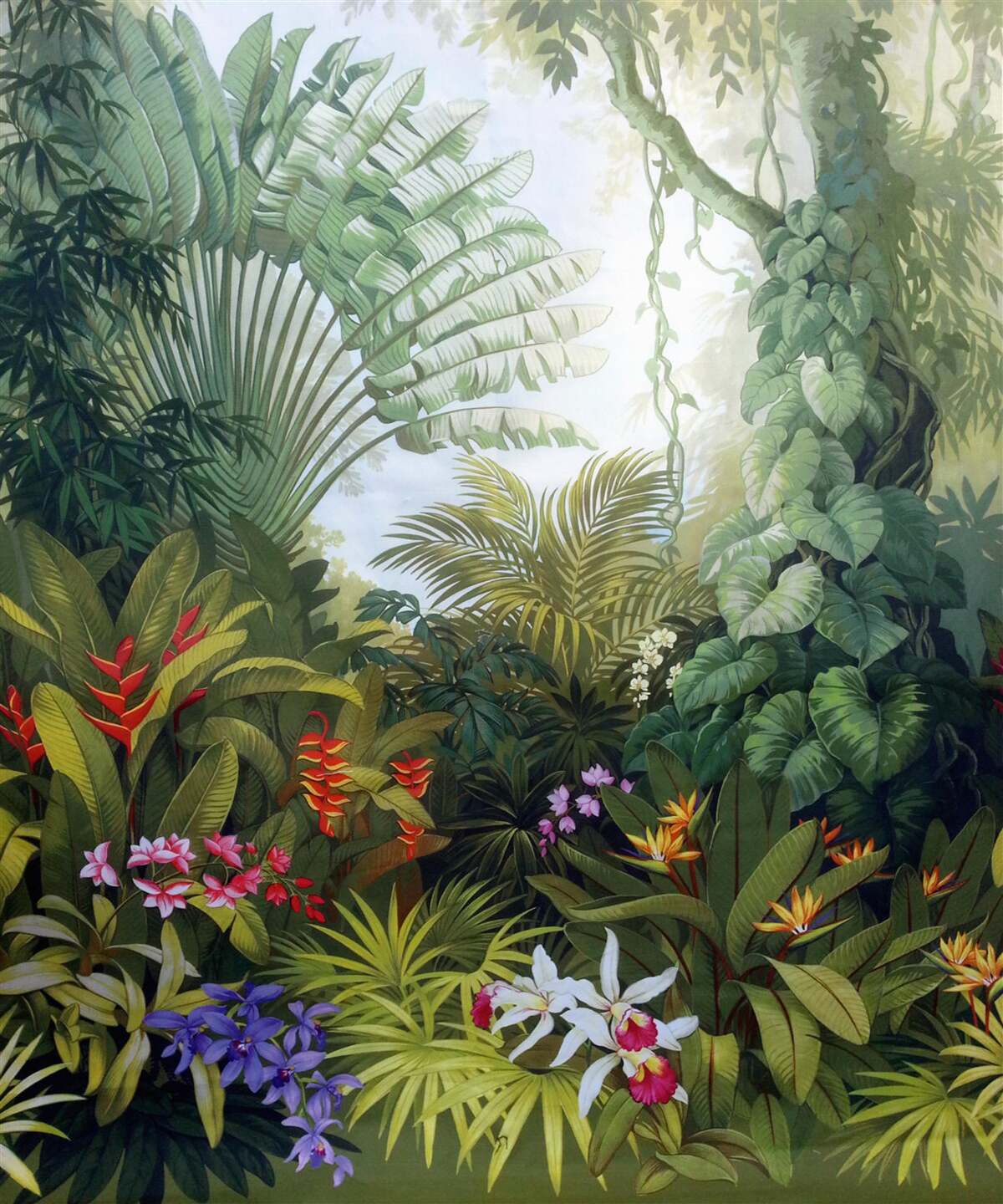 Fototapet păduri tropicale fascinante și misterioase