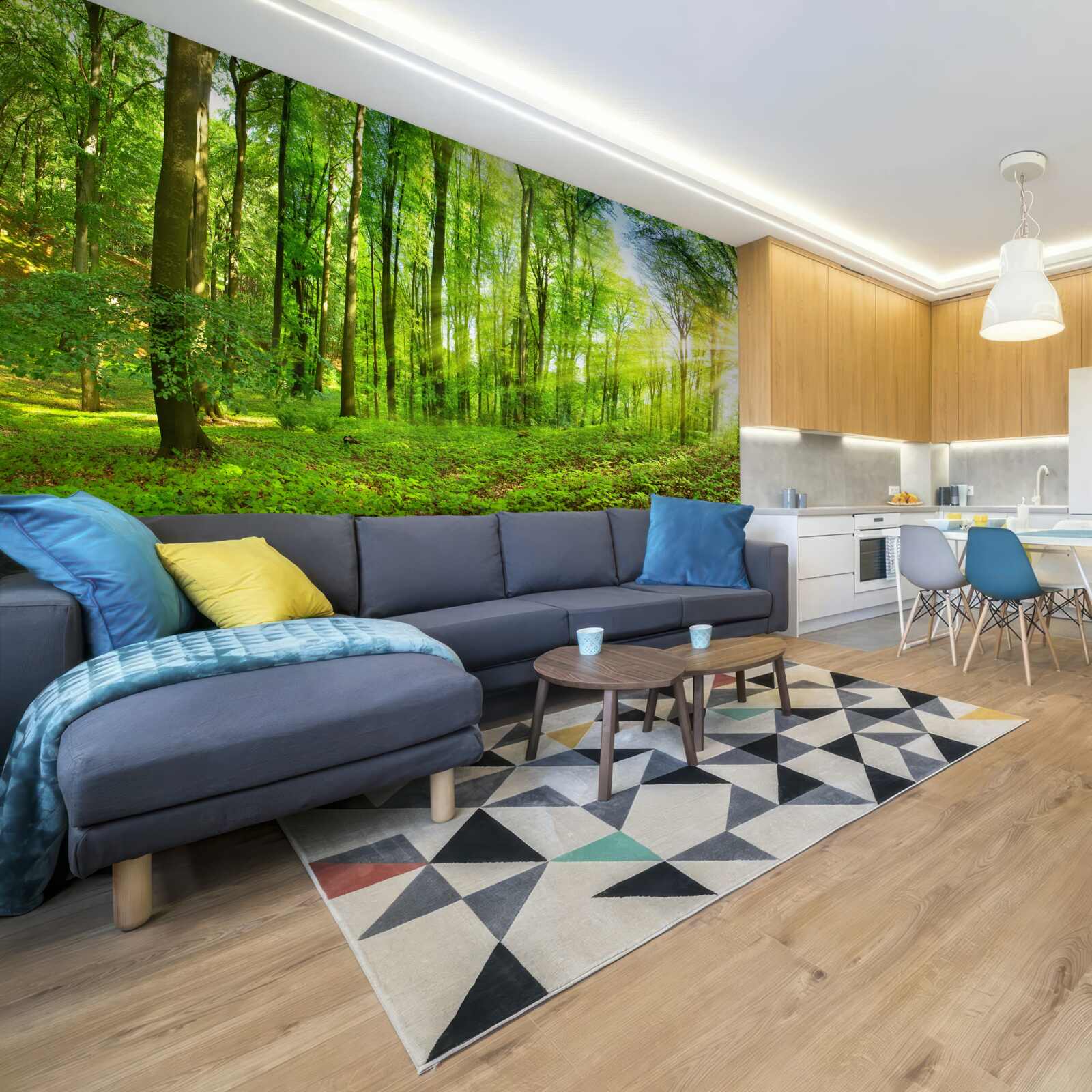 Fototapet Zori într-o pădure unde domnesc frunzele verzi