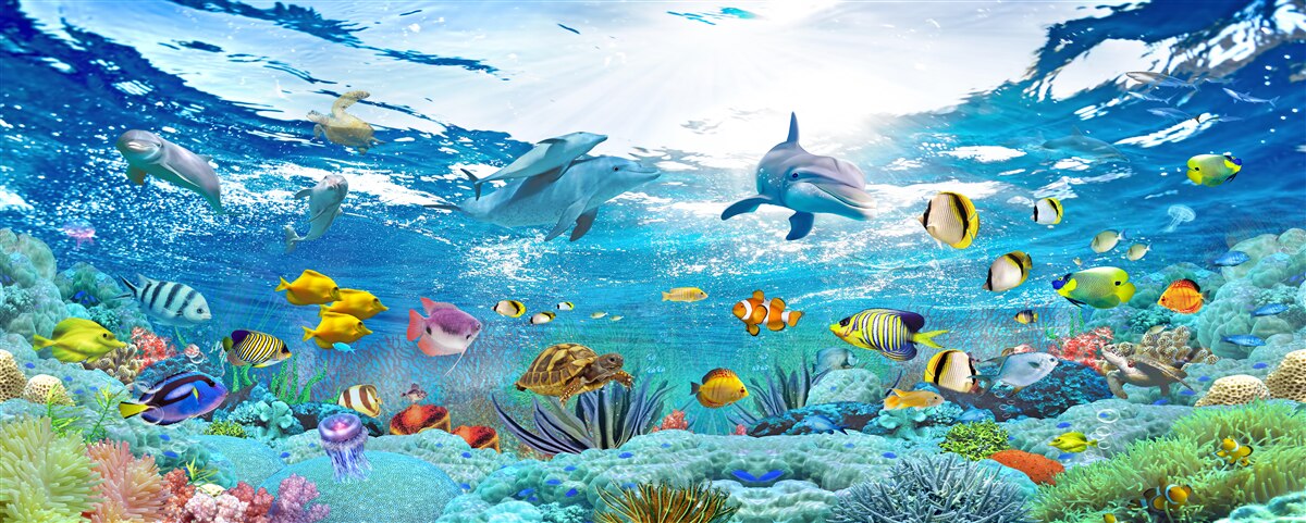 Fototapet Lumea sub apă la adâncime