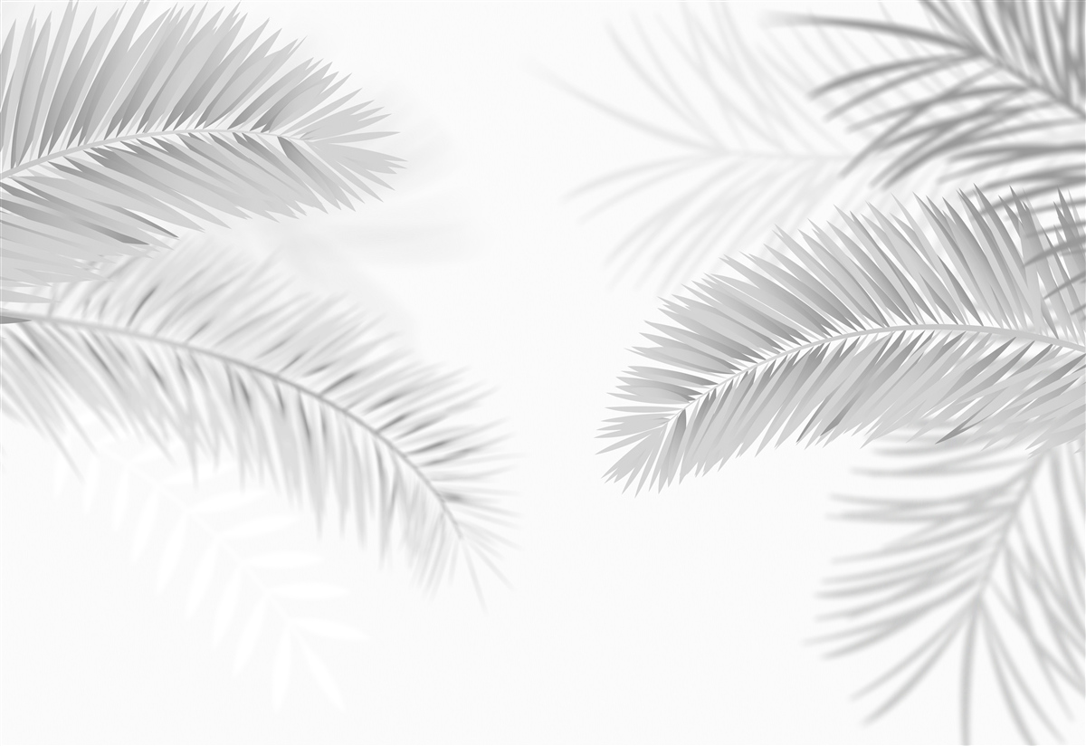 Fototapet frunze de ferigă în alb și negru