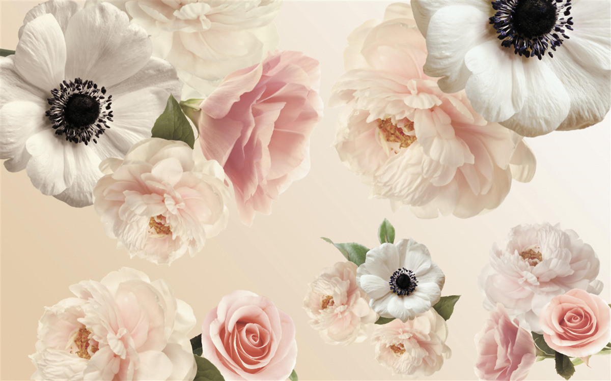 Fototapet trandafir roz cu mac alb