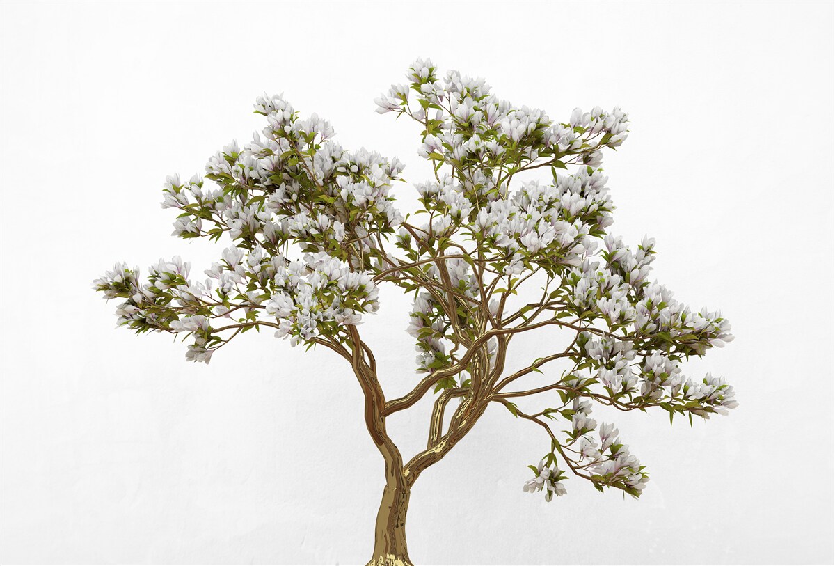 Fototapet un bonsai solitar are o frumusețe grațioasă