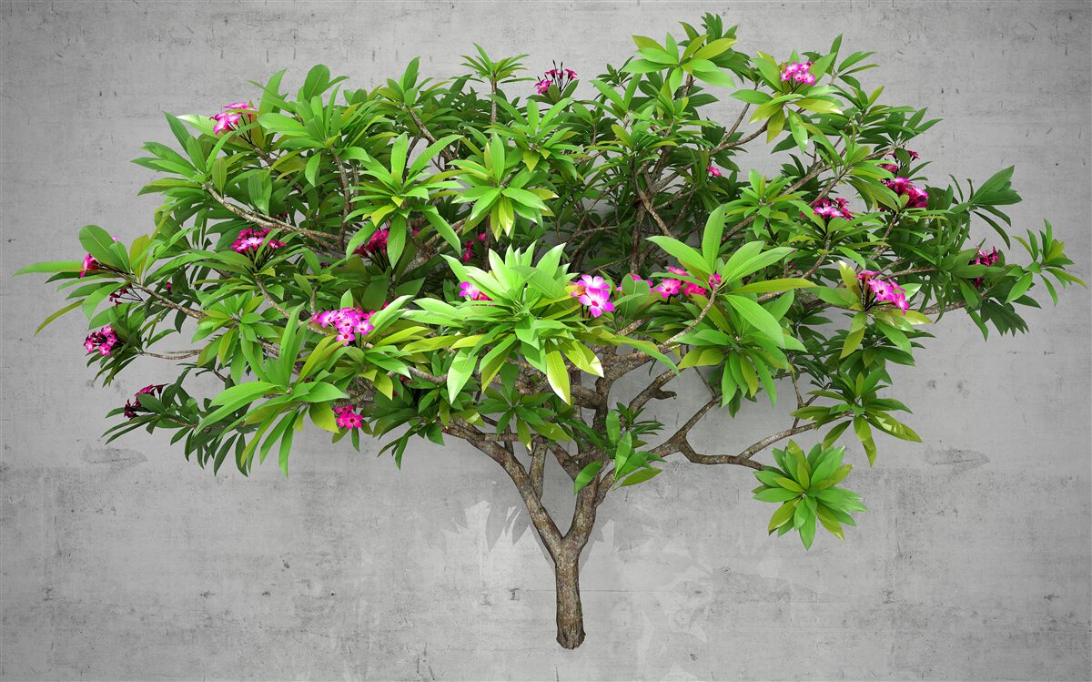 Fototapet licărire de verde pe un copac de foioase