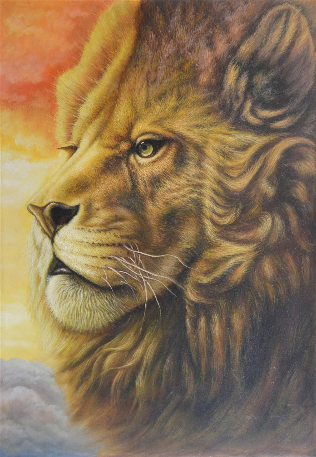 Fototapet imagine minunată a unui leu