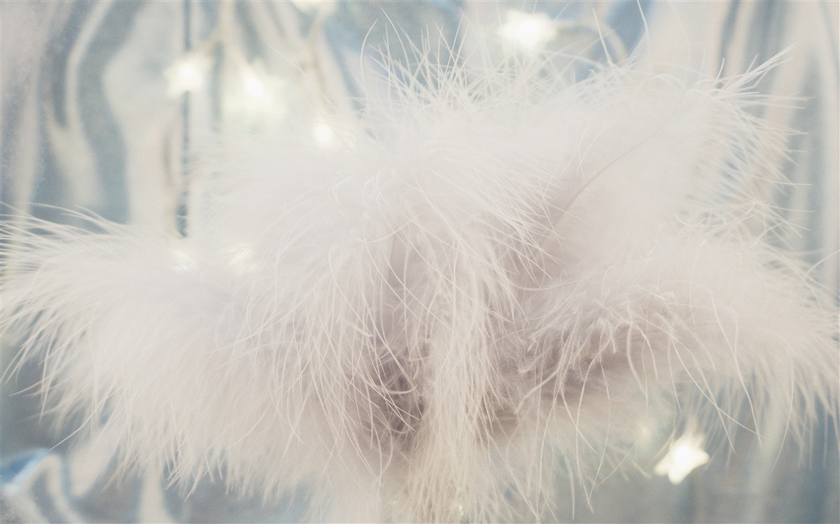 Fototapet puf dens și ușor