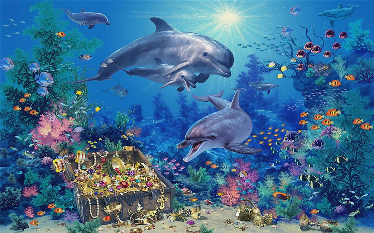 Fototapet comoara a fost descoperită de delfini