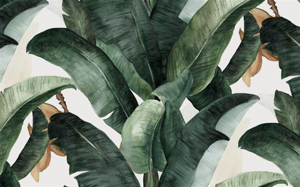 Fototapet frunze mari de culoare verde închis din regiunile tropicale