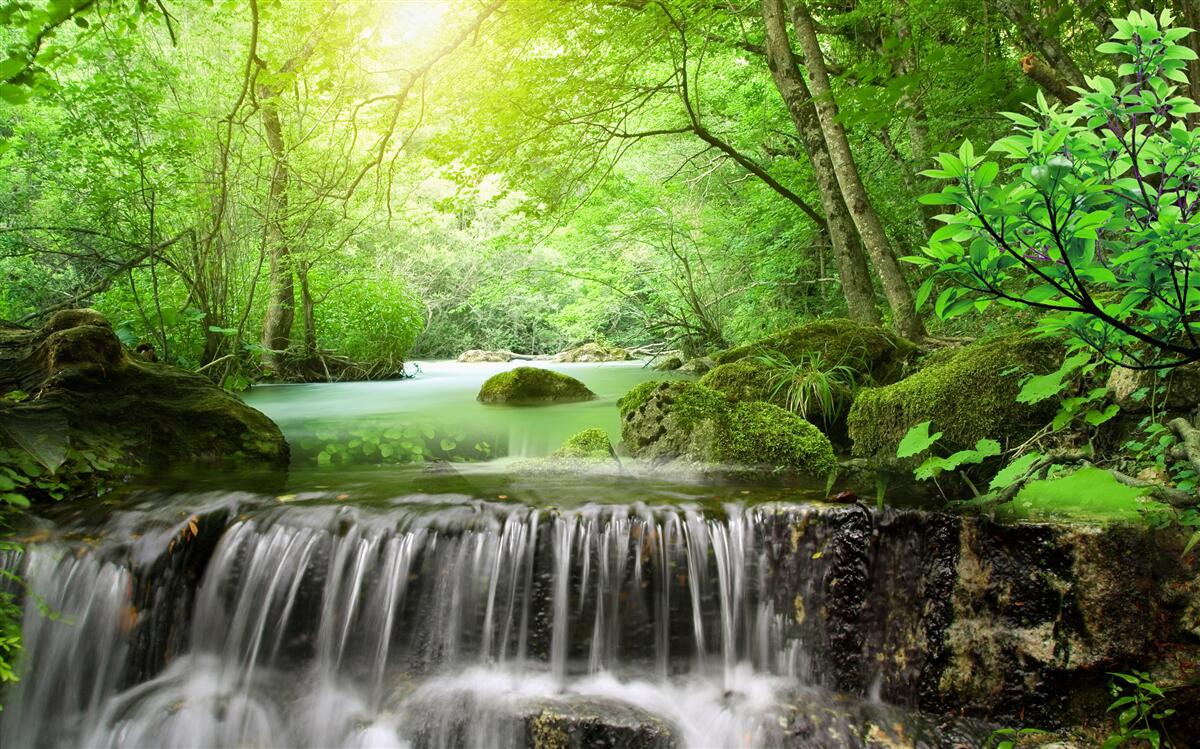 Fototapet razele soarelui ajung la cascadă