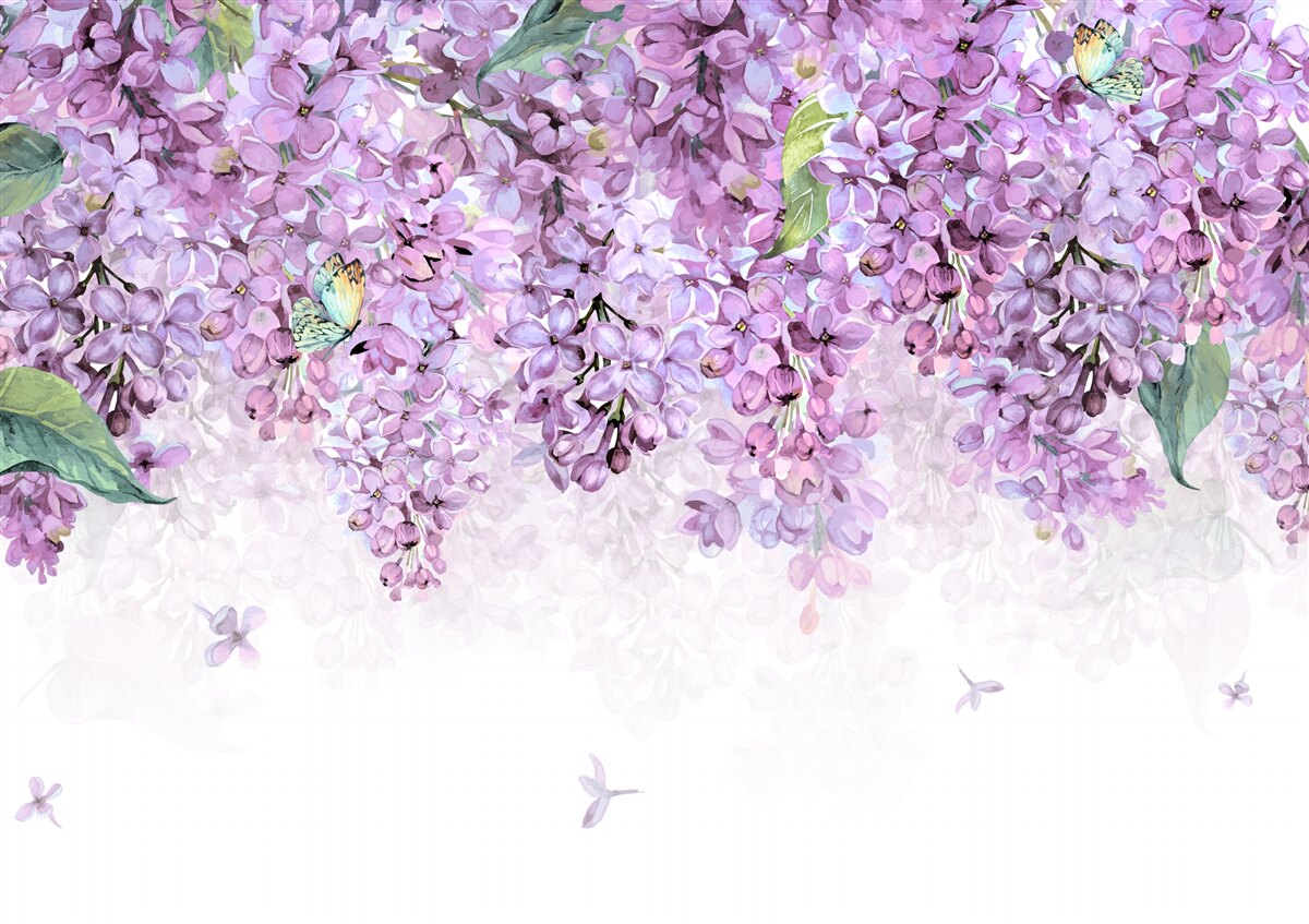 Fototapet lumină violet liliac de perete