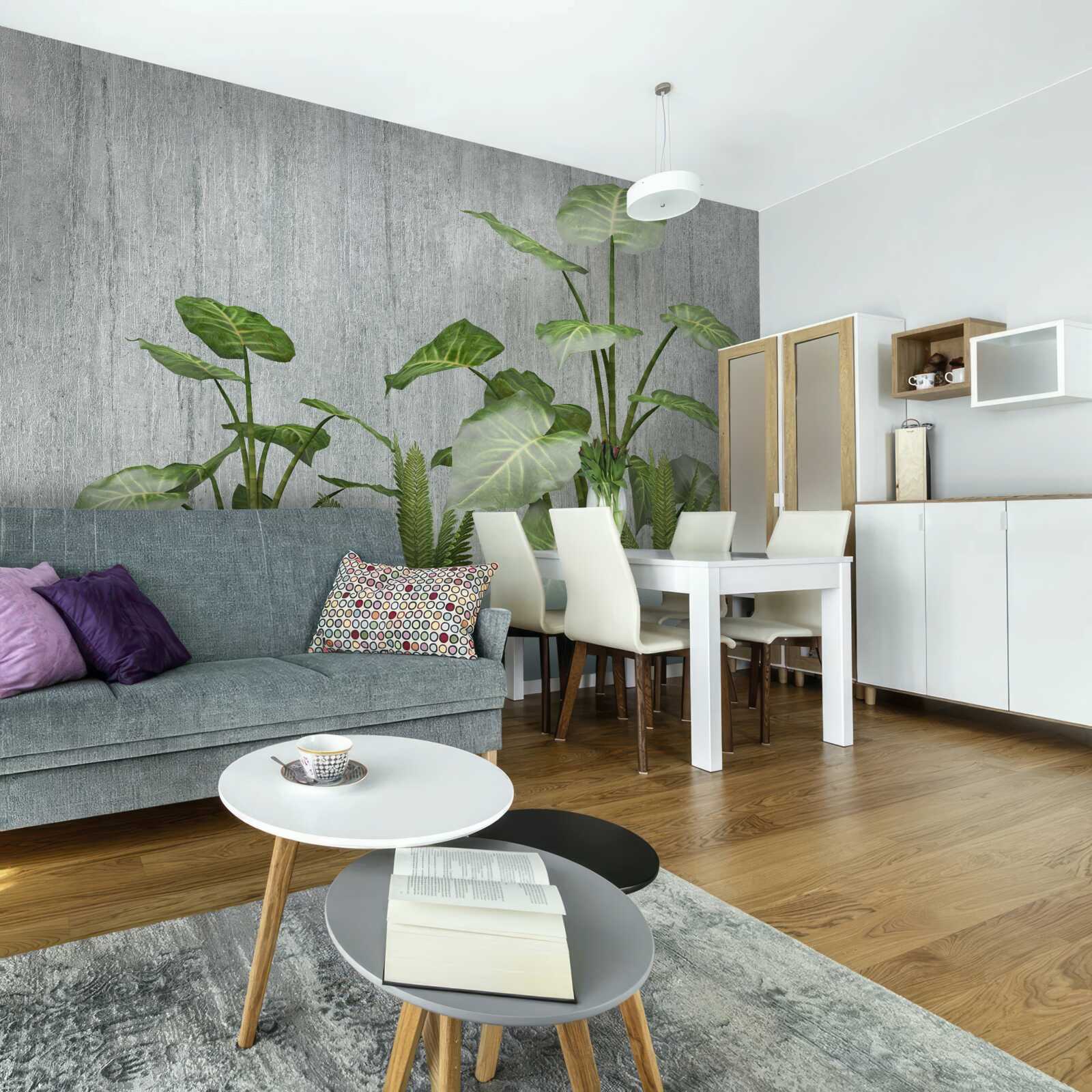 Fototapet tufiș imens monstera pe un fundal argintiu