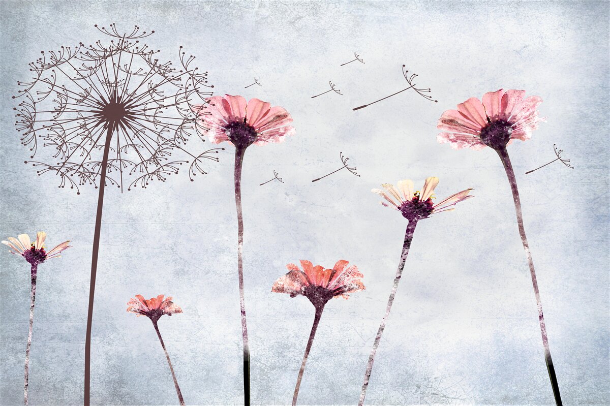 Fototapet maci și gerbera sub rafalele puternice de vânt