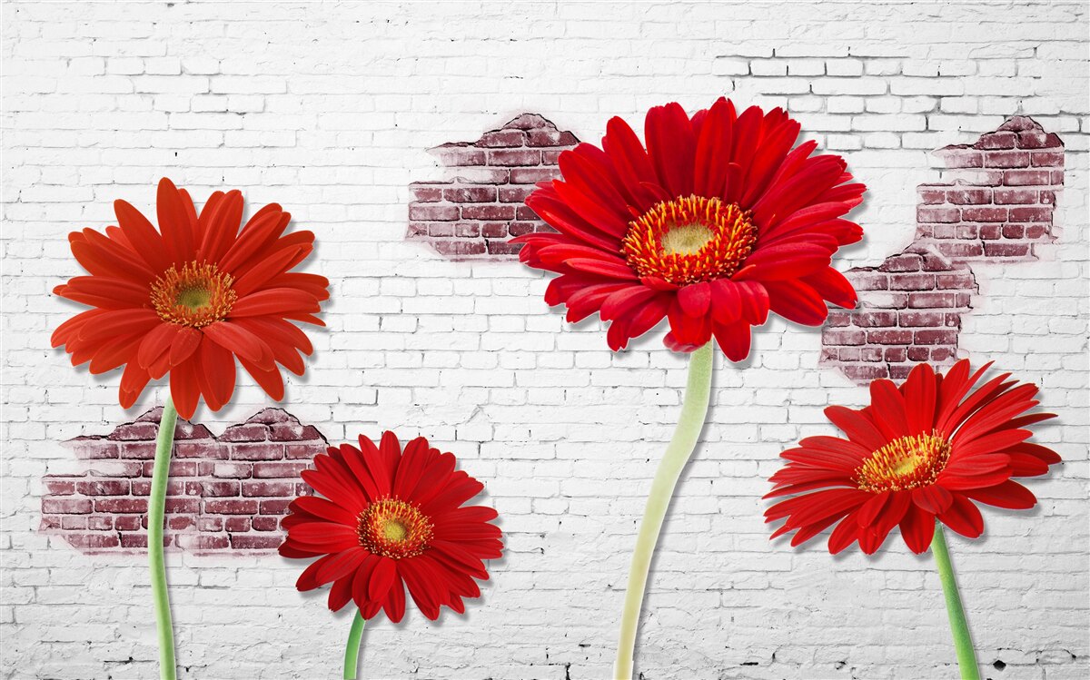 Fototapet gerbera roșu elegant