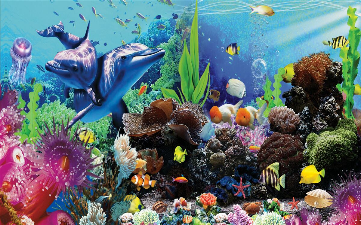 Fototapet lumea subacvatică în detaliu