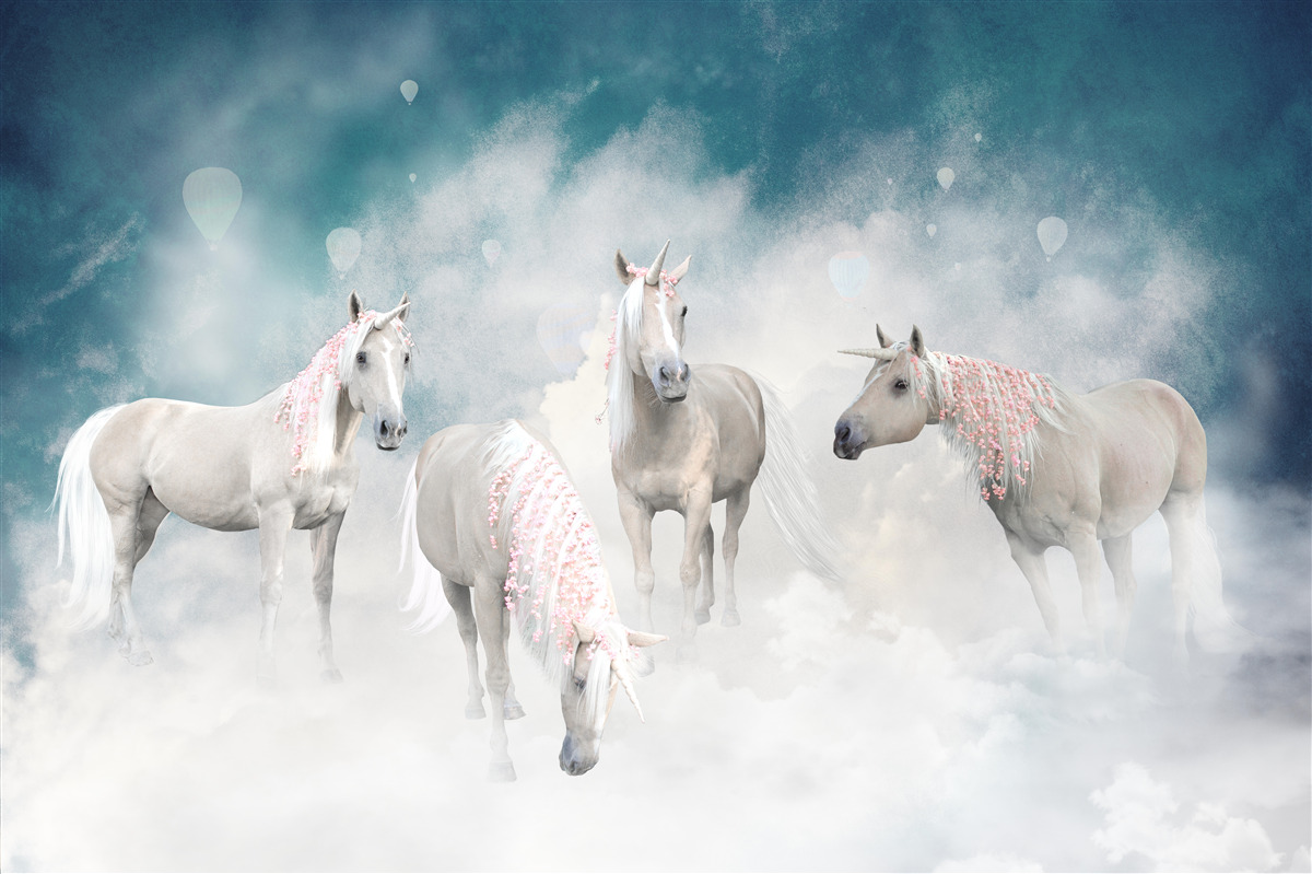 Fototapet nori plini de unicorni