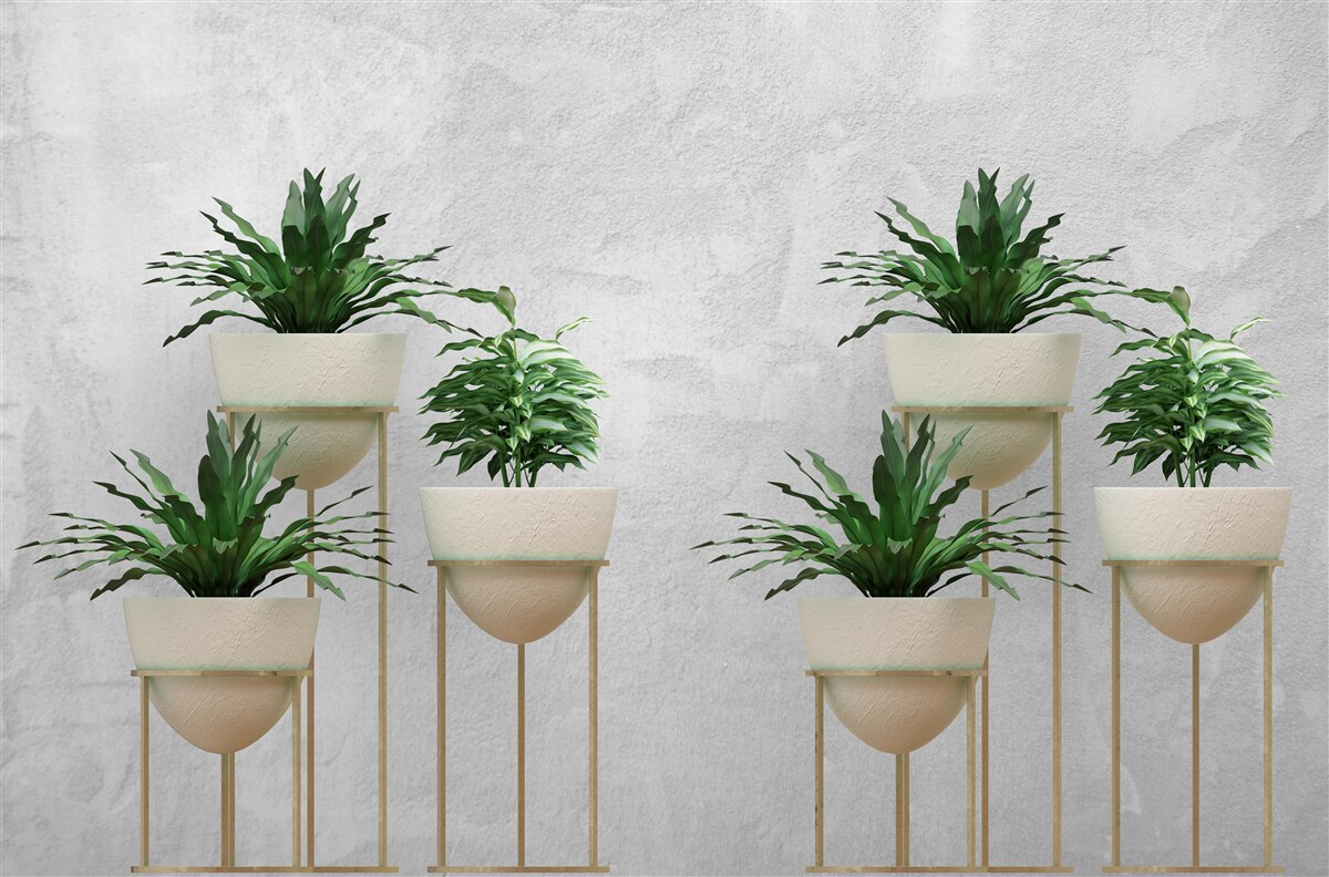 Fototapet flori verzi în ghivece delicate