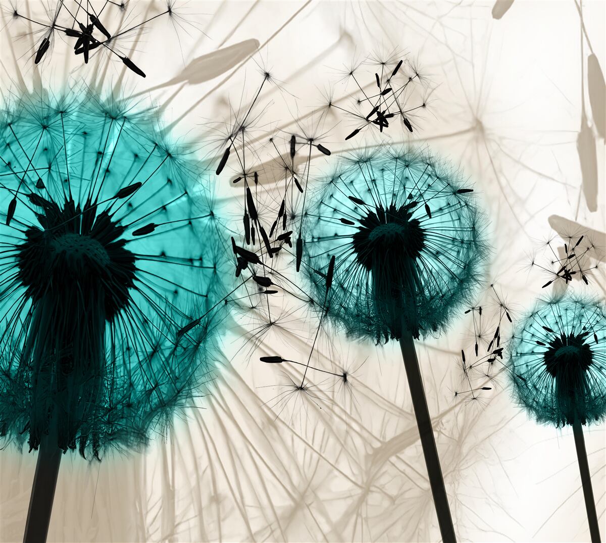 Fototapet prim-planuri de păpădii