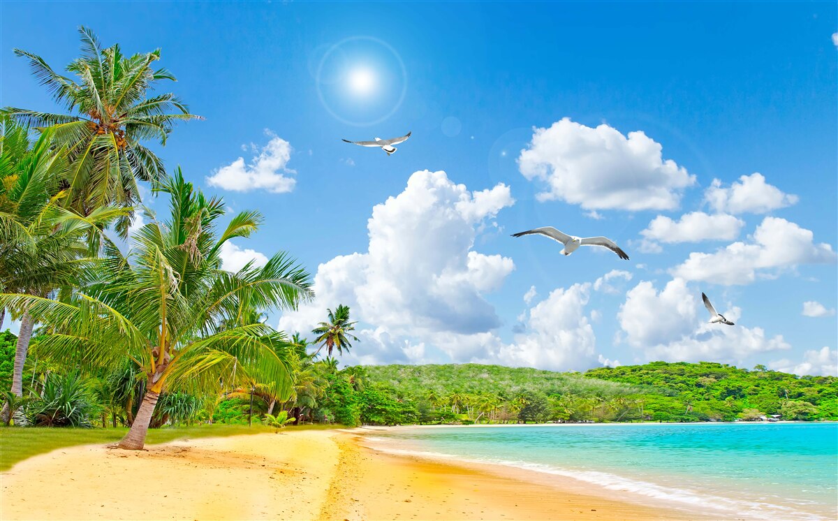 Fototapet marea și plaja sunt frumoase