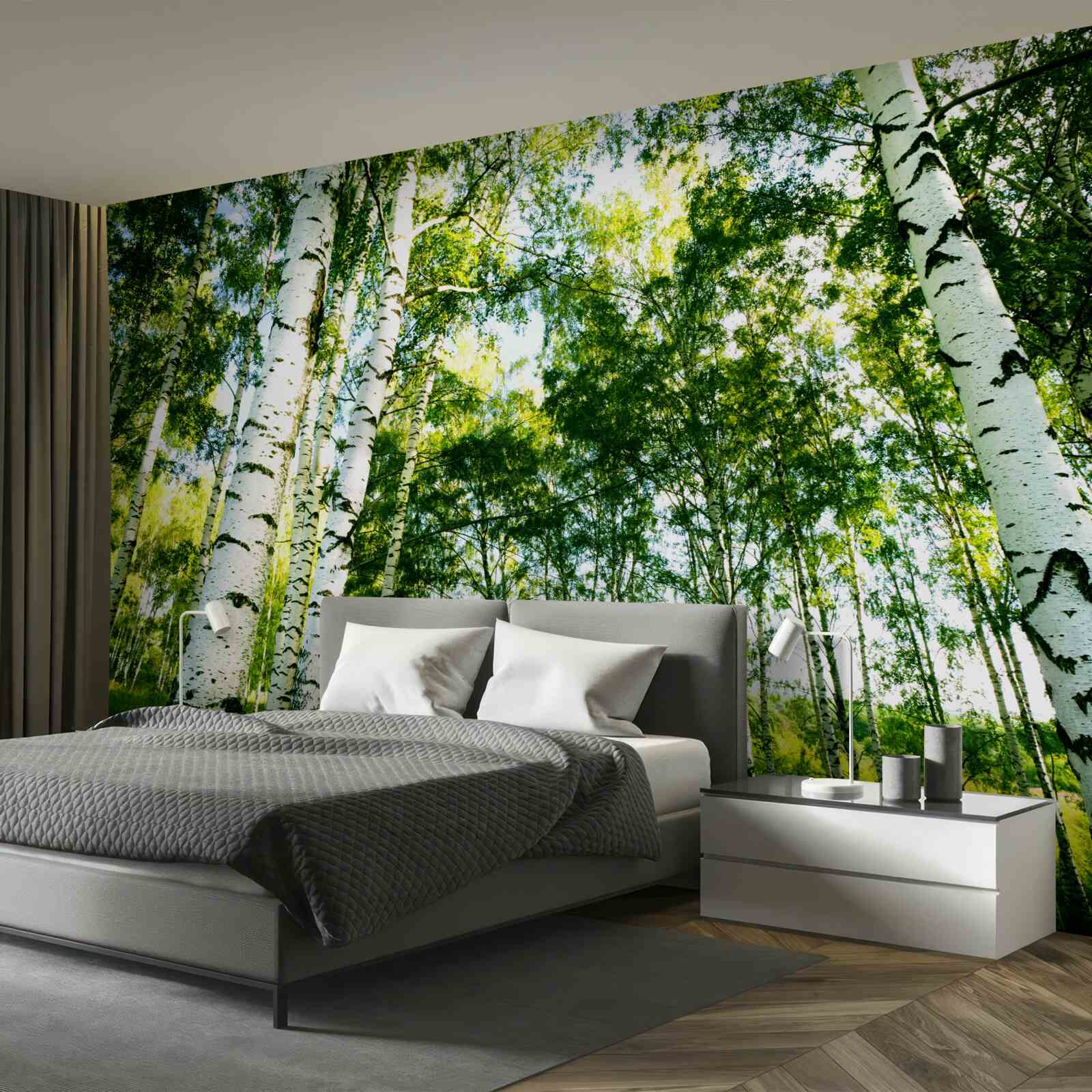 Fototapet pădure de mesteceni