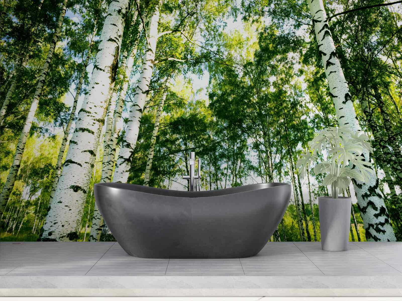 Fototapet pădure de mesteceni